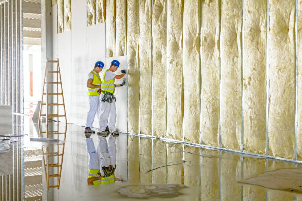 Best Specialty Insulation in Everman, TX